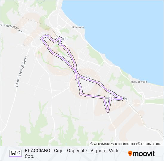 C bus Line Map