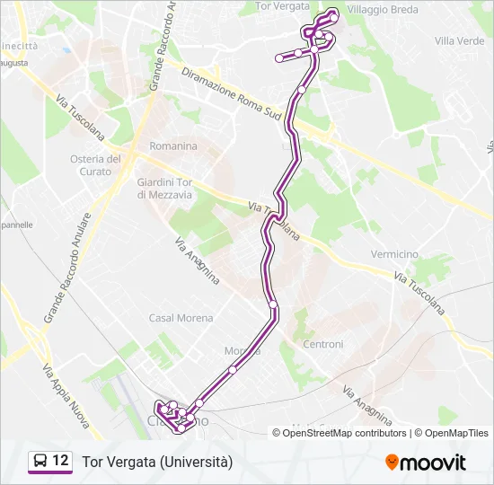 12 Bus Line Map