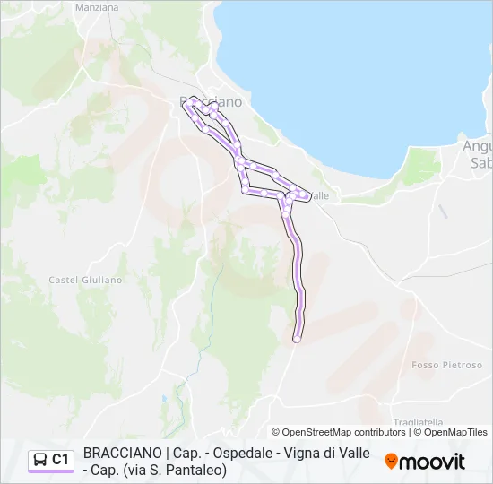 C1 Bus Line Map