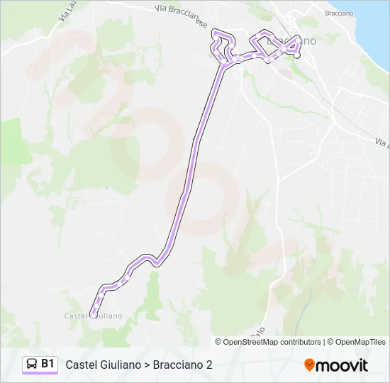 B1 Bus Line Map