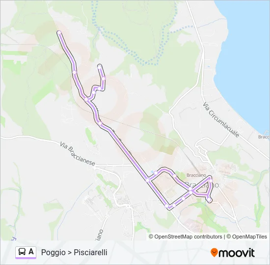 A Bus Line Map