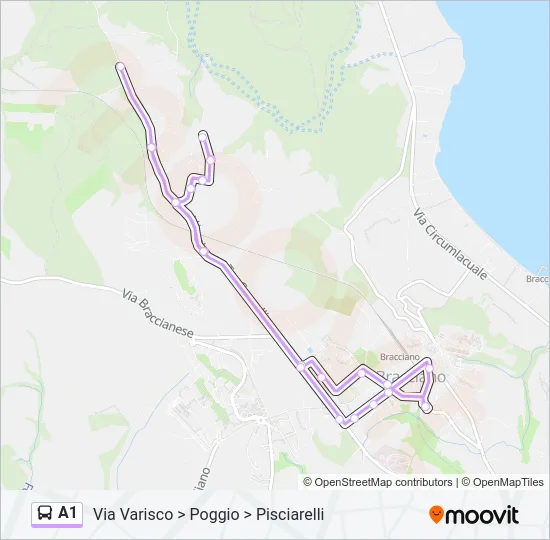 A1 Bus Line Map