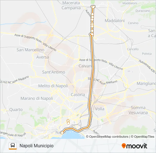 ANGELINO Bus Line Map