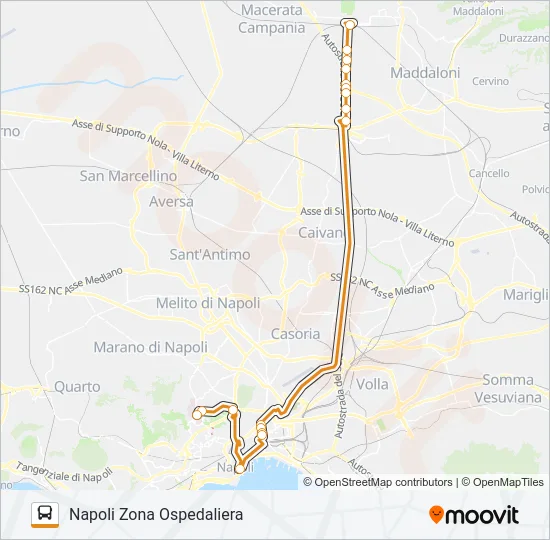 ANGELINO Bus Line Map