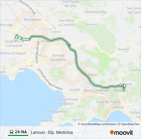 Percorso linea bus 24-NA