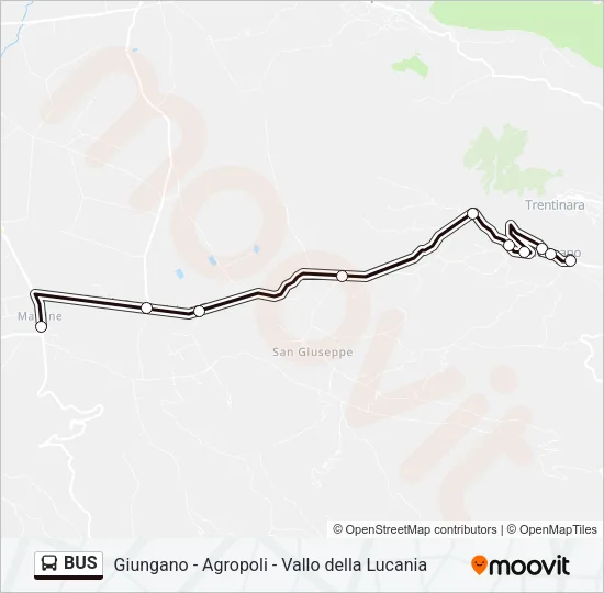 BUS Line Map