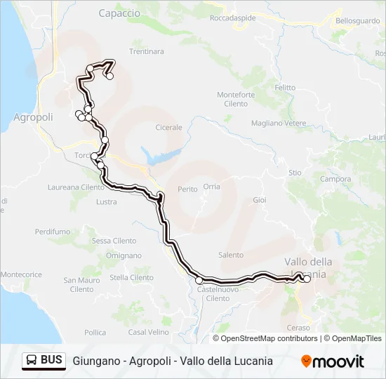 BUS Line Map
