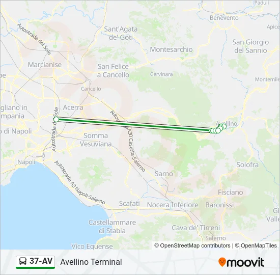 37-AV Bus Line Map