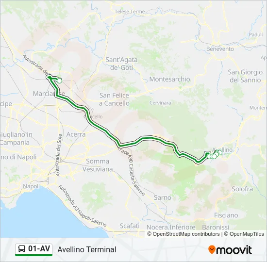 01-AV Bus Line Map