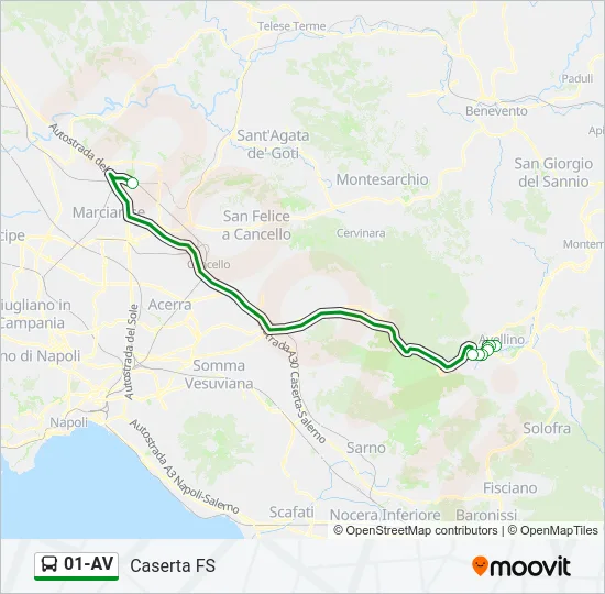 01-AV Bus Line Map