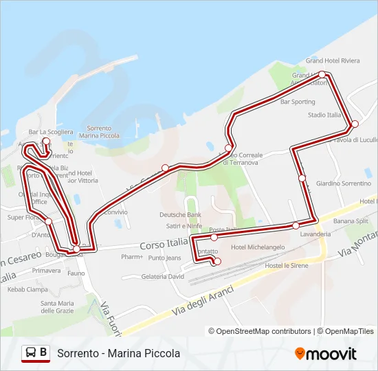 B Bus Line Map