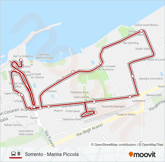 B Bus Line Map