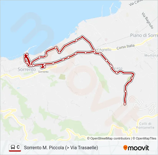 C Bus Line Map