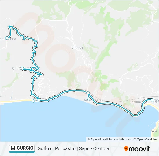 CURCIO Bus Line Map