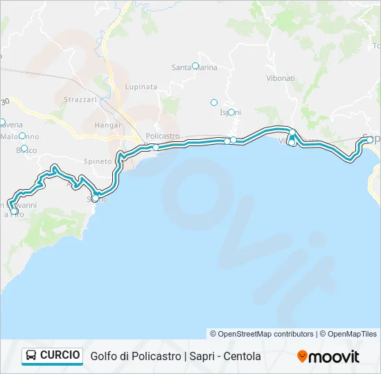 CURCIO Bus Line Map