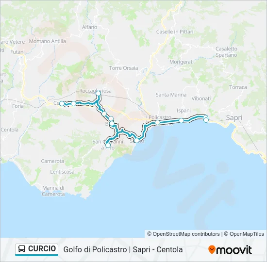 CURCIO Bus Line Map