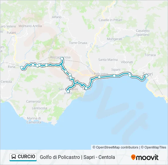 CURCIO Bus Line Map
