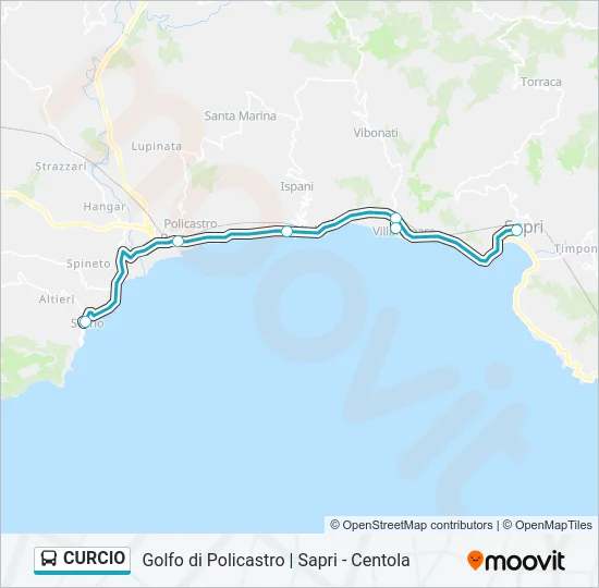 CURCIO Bus Line Map