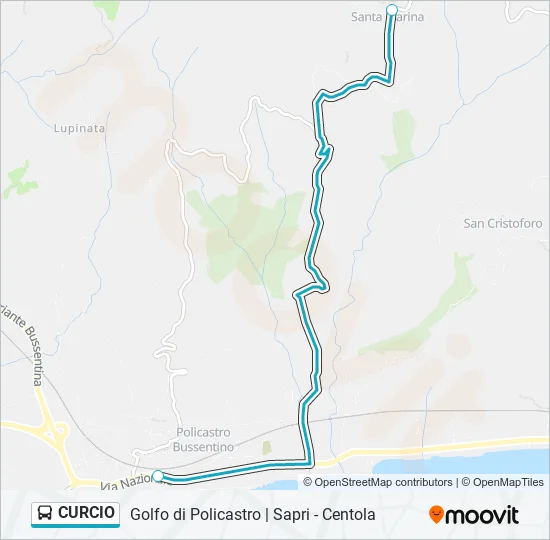 CURCIO Bus Line Map