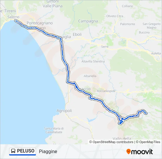PELUSO Bus Line Map