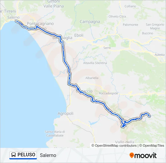 PELUSO Bus Line Map