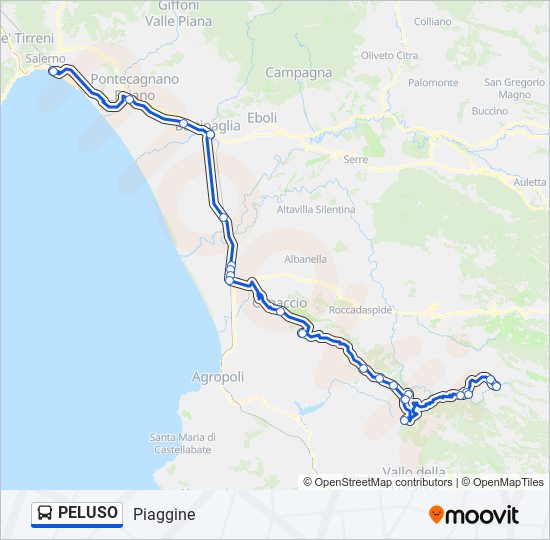 PELUSO bus Line Map