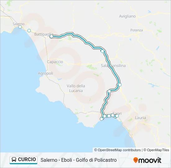 CURCIO Bus Line Map