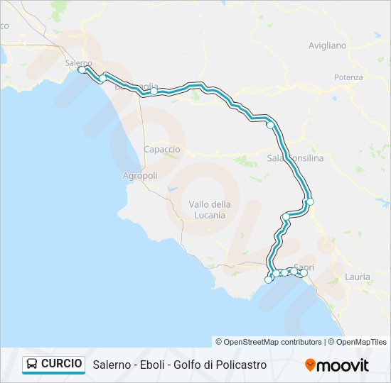 Percorso linea bus CURCIO