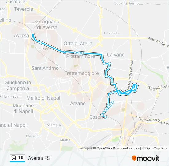 10 Bus Line Map