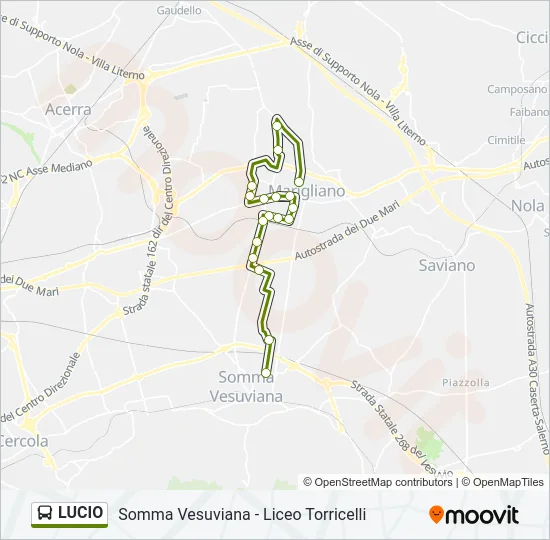 LUCIO Bus Line Map