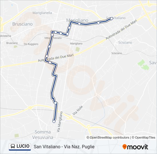 Percorso linea bus LUCIO