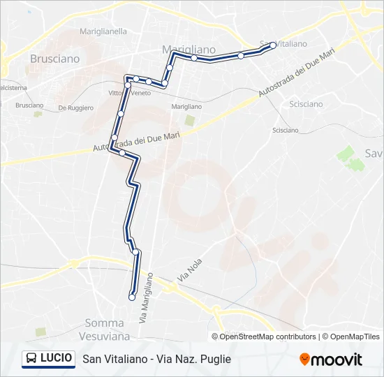 LUCIO Bus Line Map