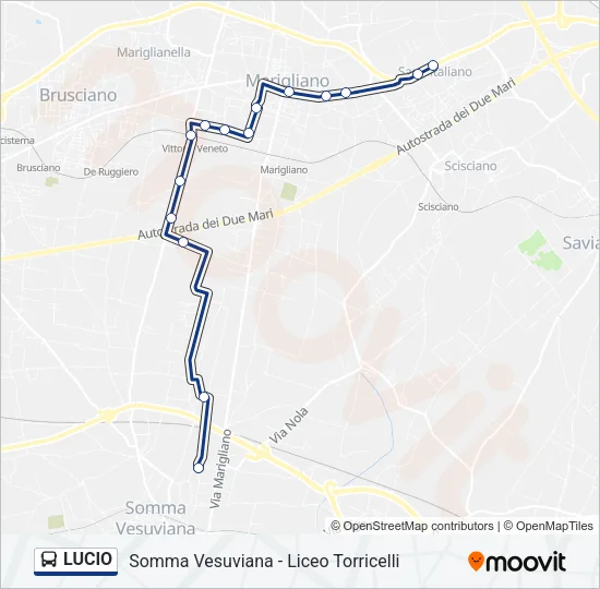 LUCIO Bus Line Map