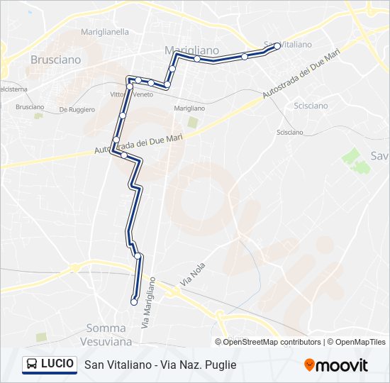 LUCIO bus Line Map
