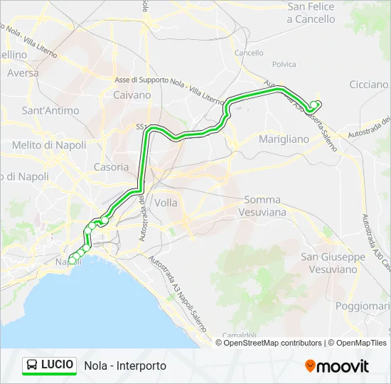 LUCIO Bus Line Map