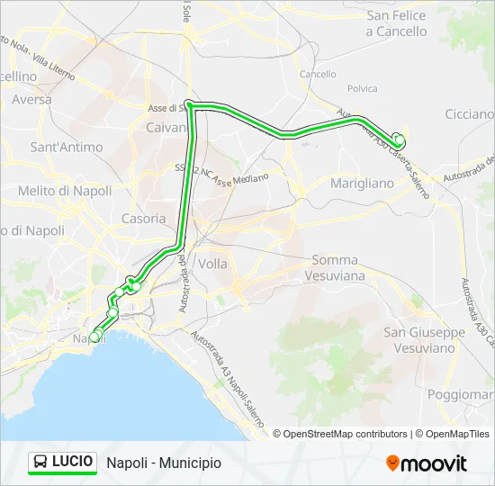 LUCIO Bus Line Map