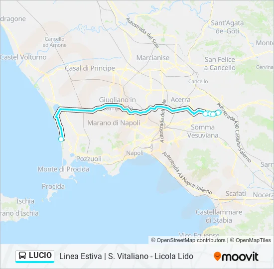 LUCIO Bus Line Map