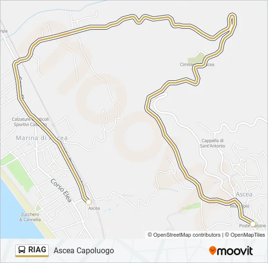 RIAG Bus Line Map