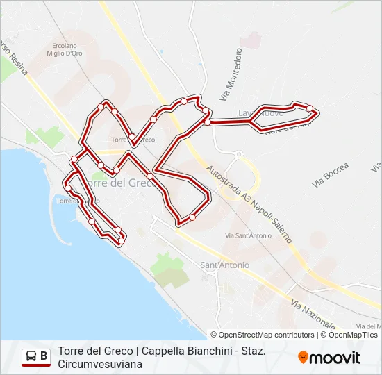 B Bus Line Map