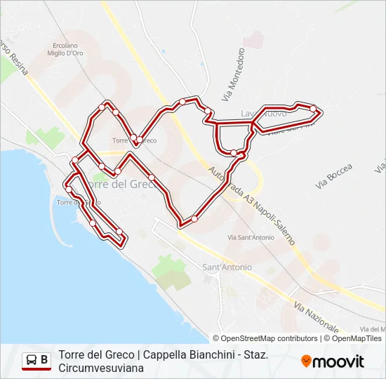 B Bus Line Map