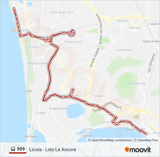 909 Bus Line Map