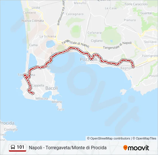 101 Bus Line Map