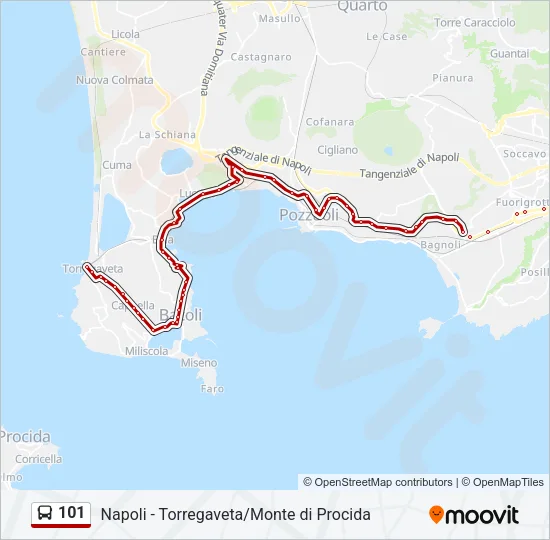 101 Bus Line Map