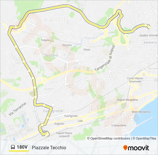 180V Bus Line Map