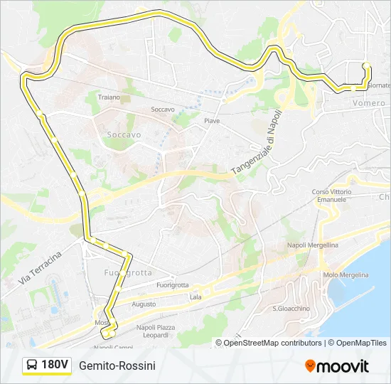180V Bus Line Map