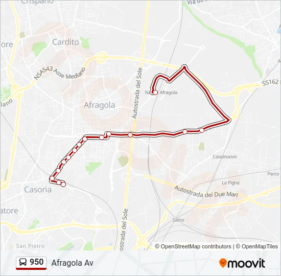 950 Bus Line Map