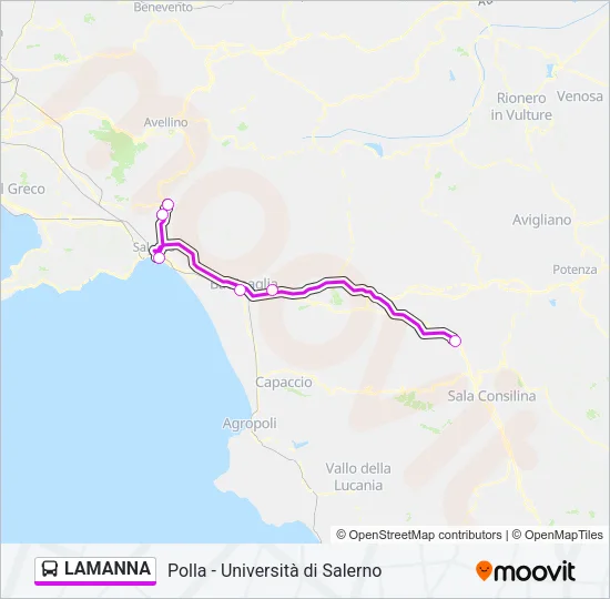 LAMANNA Bus Line Map