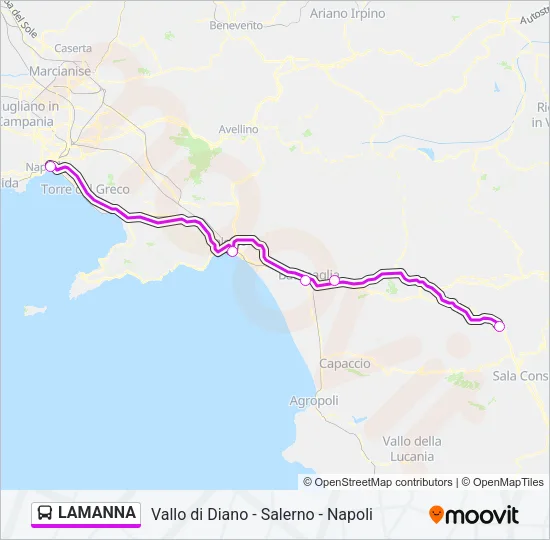 LAMANNA Bus Line Map