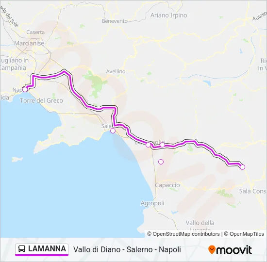LAMANNA Bus Line Map