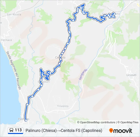 113 Bus Line Map